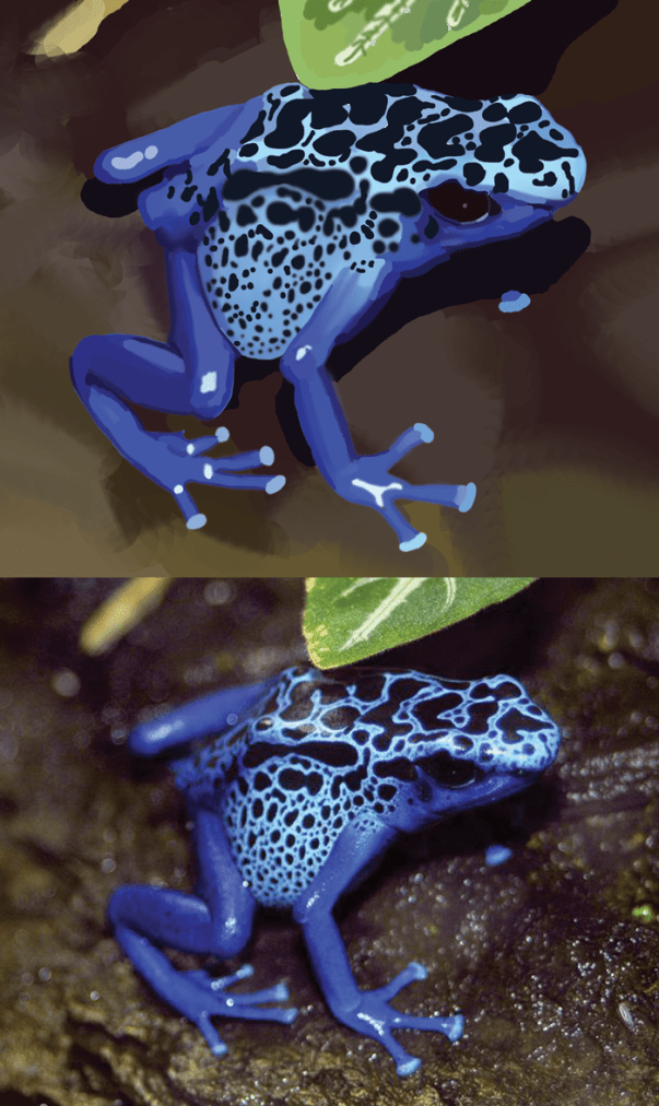 Bet you're sick of frogs too