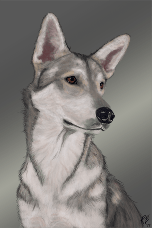 reddit-puppy-low-res