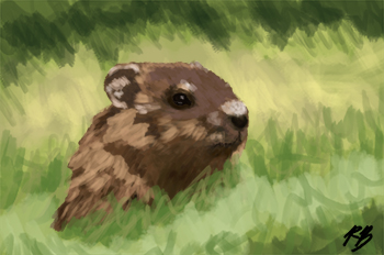groundhog