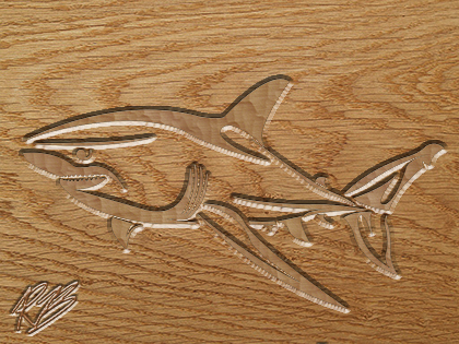 oak shark
